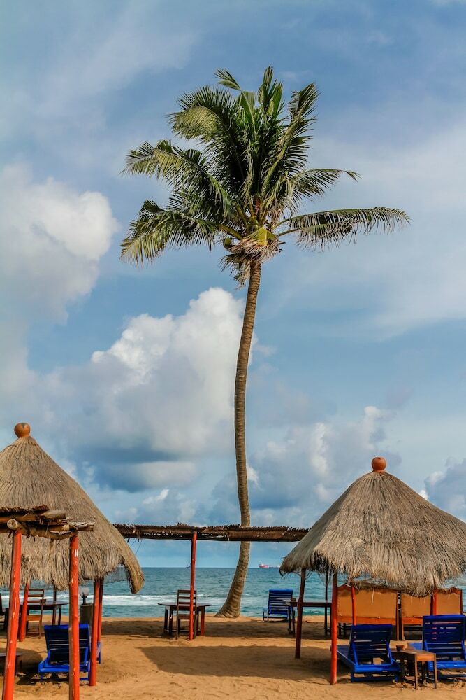 Hotel New Robinson Plage