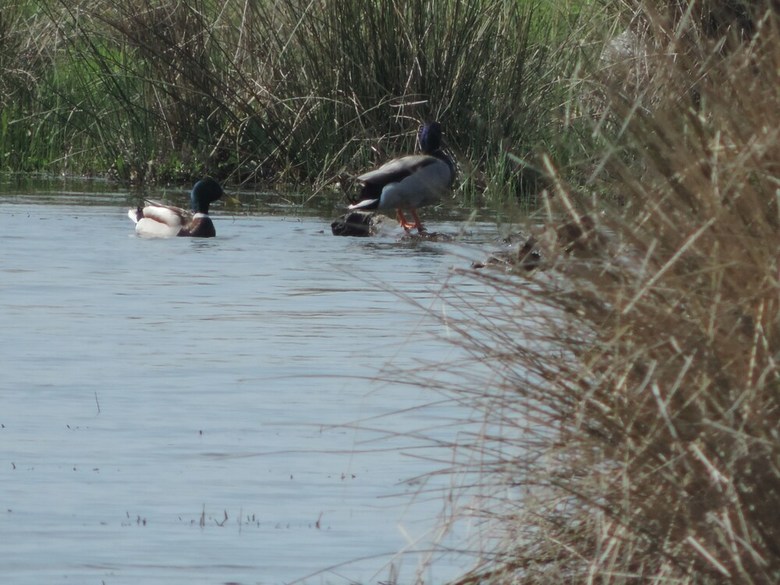 Apartamentos Casa Conde De Santa Olalla