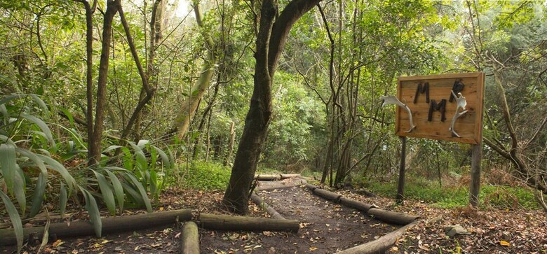 Posada Misty Mountain Reserve