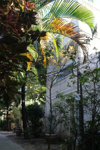 Apartment Ilha Da Gig�ia