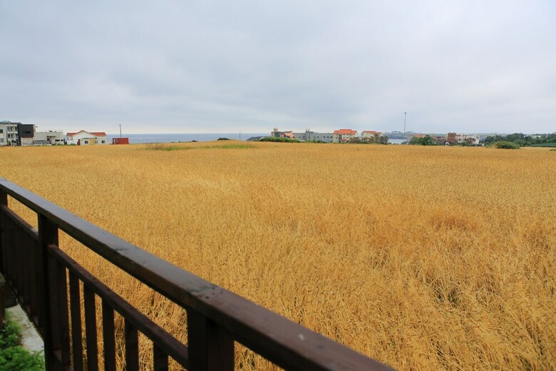 Hostal Gillime Pension Guesthouse - Hostel