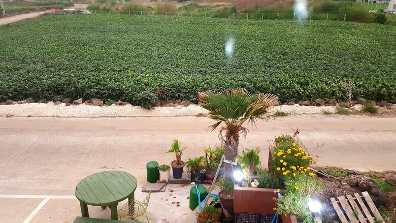 Hostal Gillime Pension Guesthouse - Hostel