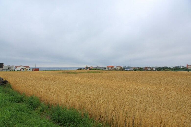 Hostal Gillime Pension Guesthouse - Hostel
