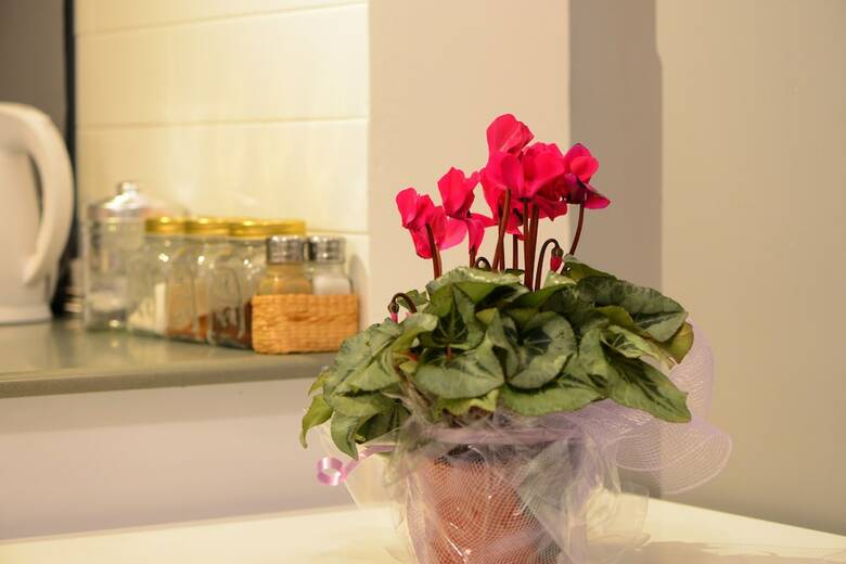 Apartamento Arlozerov Bat Yam