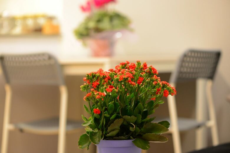 Apartamento Arlozerov Bat Yam