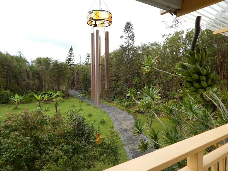 Bed & Breakfast Fern Forest Getaway