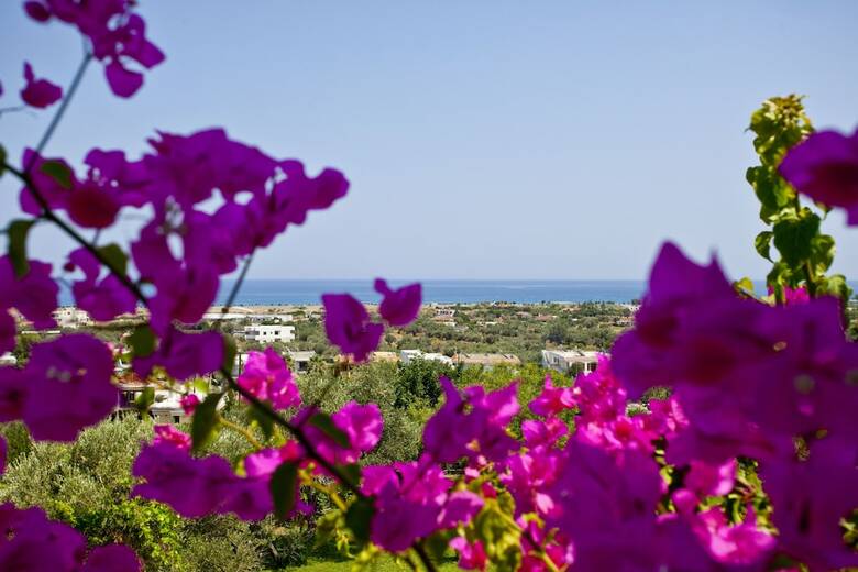 Hotel Iris