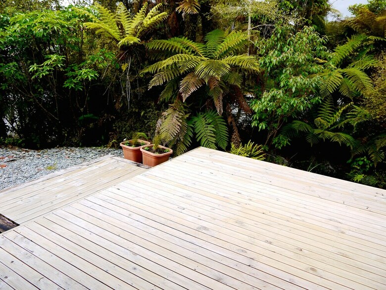Franz Josef Treetops