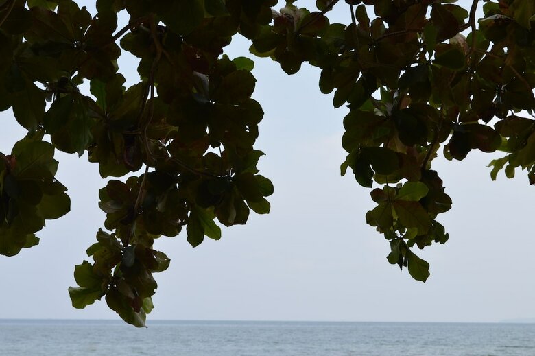 Hotel Palm Beach Bungalow Resort