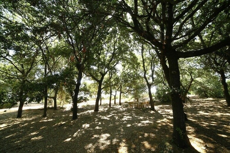 Agroturismo Masseria Gialli