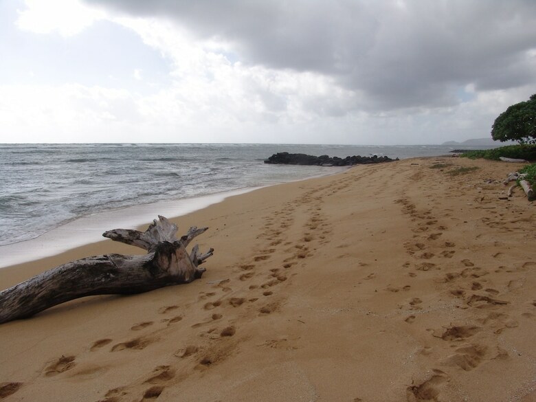 Kauai Kailani By Kreller's Getaway