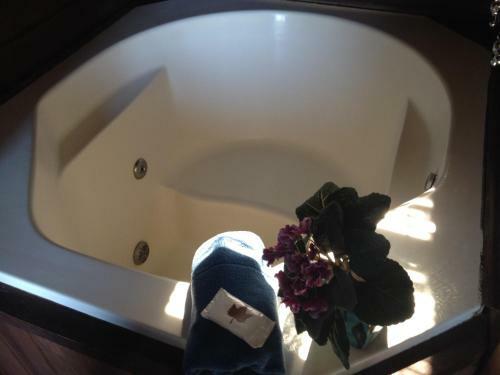 Lodge Chal�s Sol E Lua