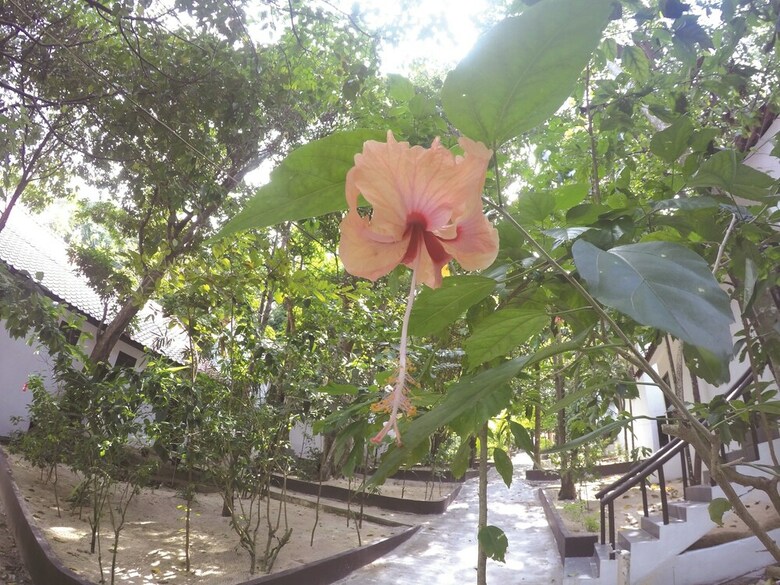 Posada Perhentian Tivoli Inn