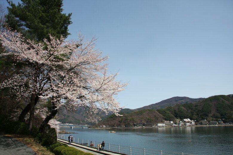 Kawaguchiko Hotel