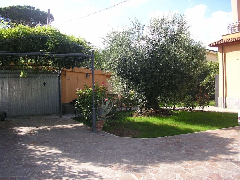 Bed & Breakfast Al Vecchio Olivo