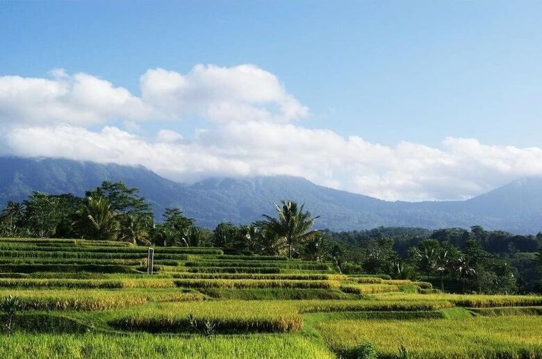 Posada Ti Amo Bali