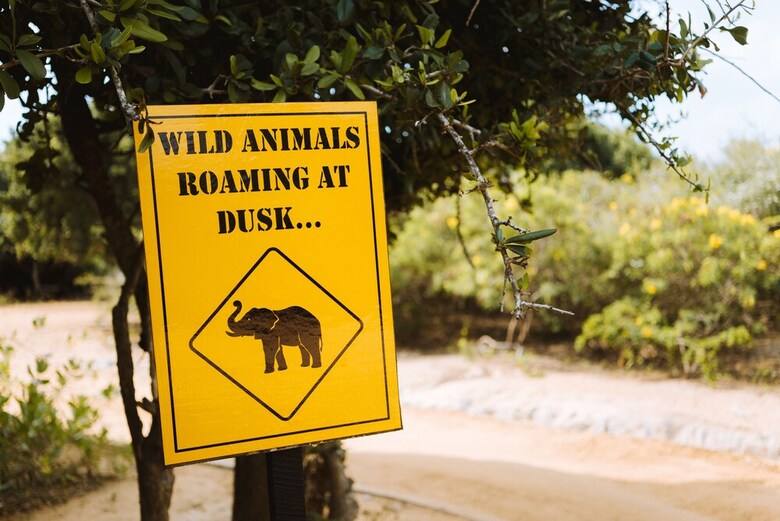 Jetwing Safari Camp ( All Inclusive)