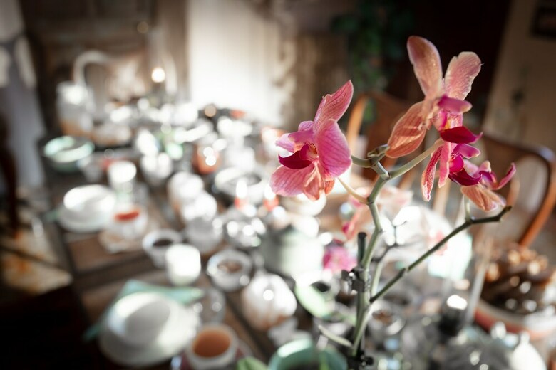Bed & Breakfast La Vieille Maison - Chambre Et Halte Gourmande