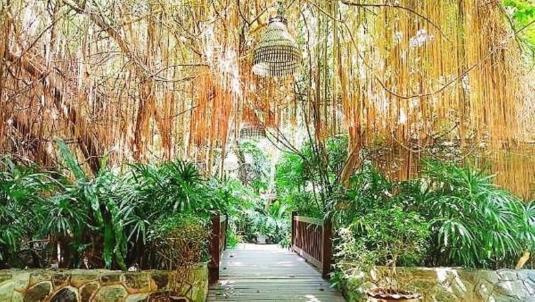 Hotel Birds And Bees Resort