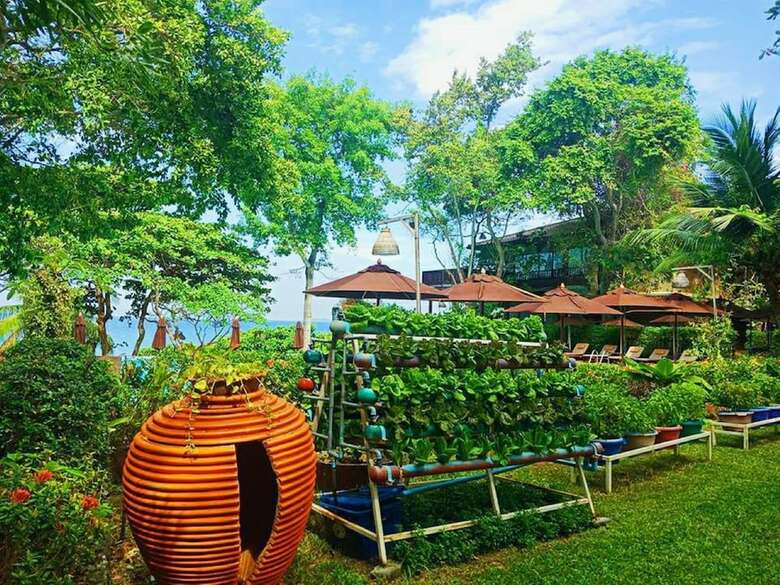 Hotel Birds And Bees Resort