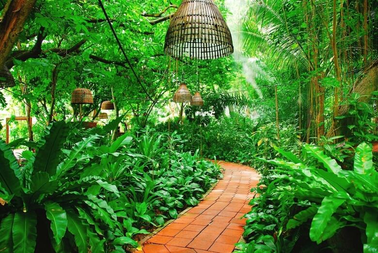 Hotel Birds And Bees Resort