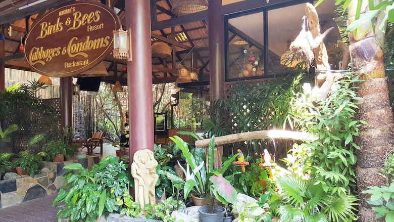 Hotel Birds And Bees Resort