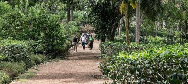 Hotel Lagoon Resort Goviyapana