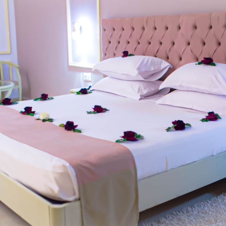 Hotel Amir Palace