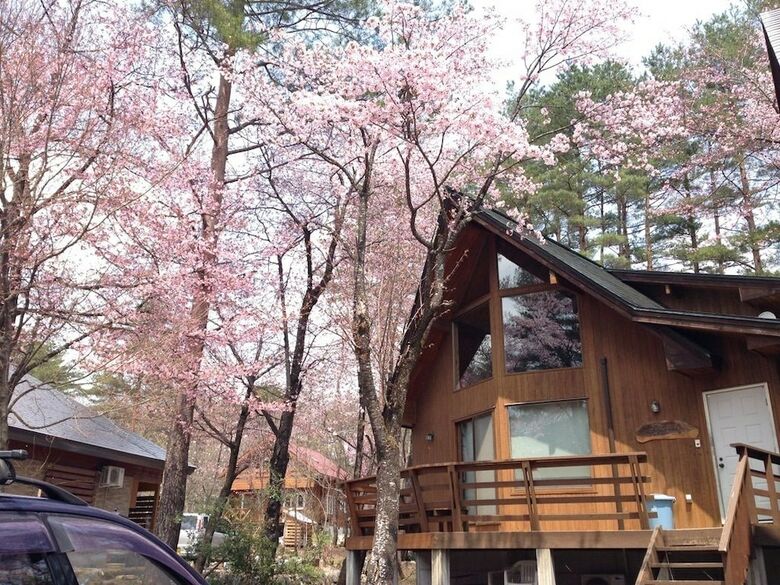 Rental Cottage Green Valley Hakuba