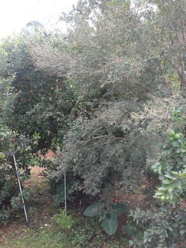 Hostal Pousada S�rius