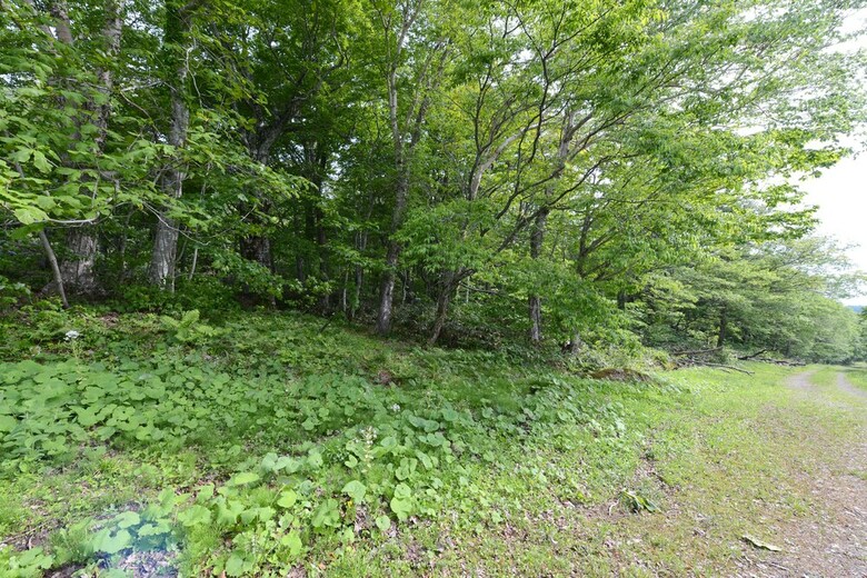 Mori No Ryotei Mount Bandai