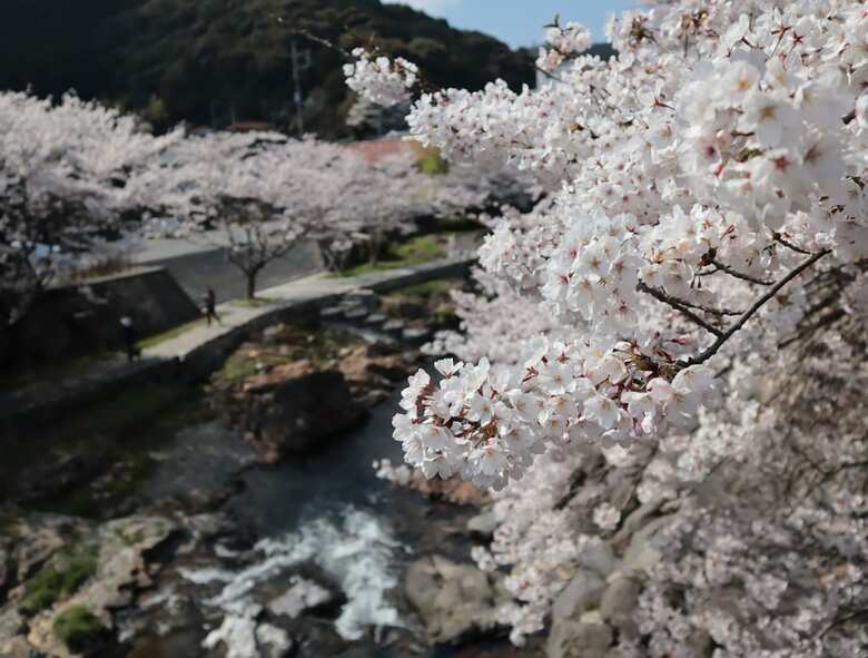 Otanisanso