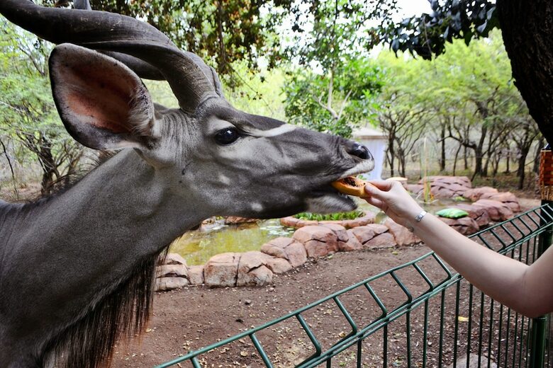 Posada Kruger Wielewaal Restcamp