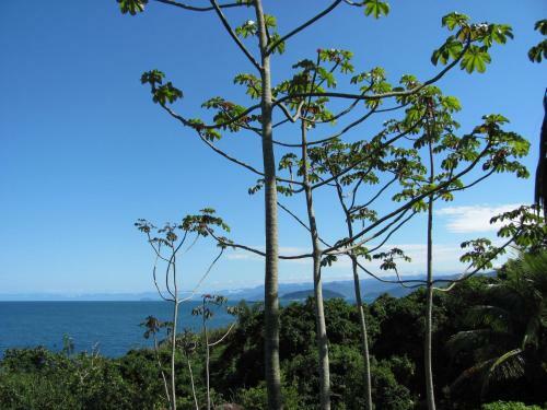 S�tio Rodamonte