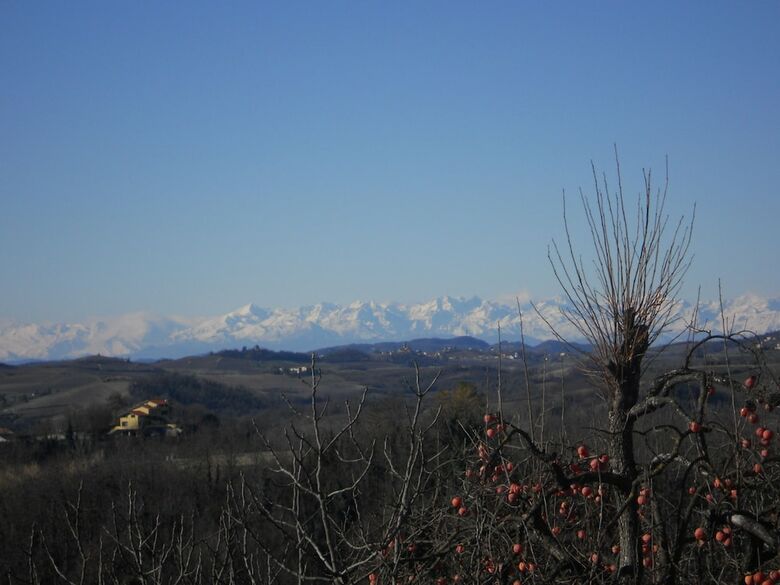 Ca' Norino B&B