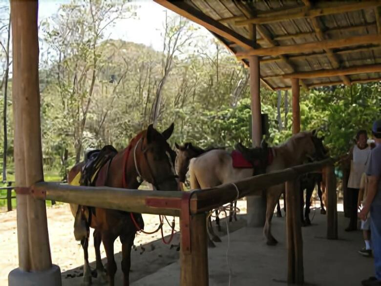 Hotel Casa Caletas