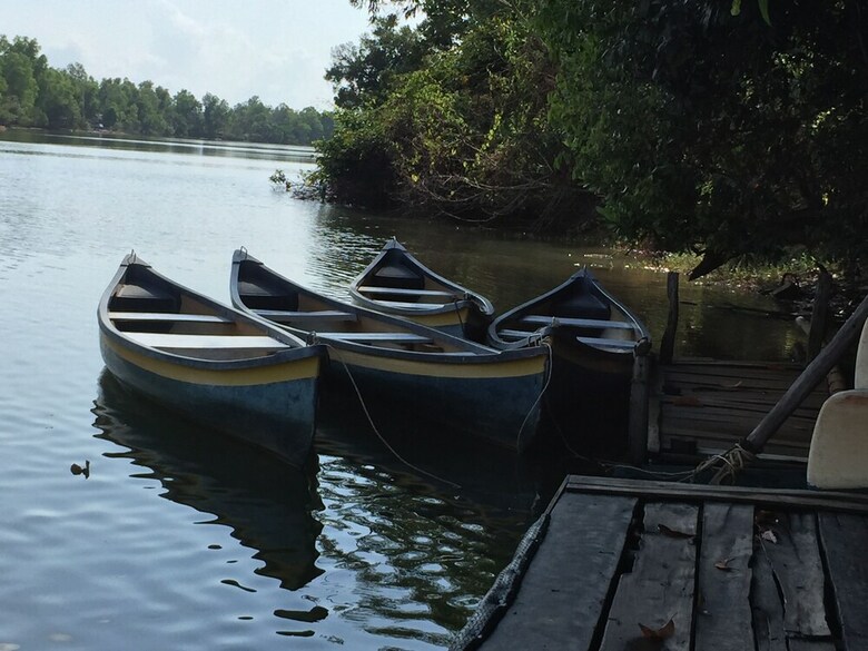 Bed & Breakfast Tropical Garden Homestay