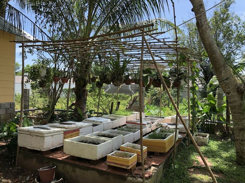 Bed & Breakfast Tropical Garden Homestay