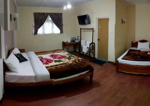 Hotel Green Stars