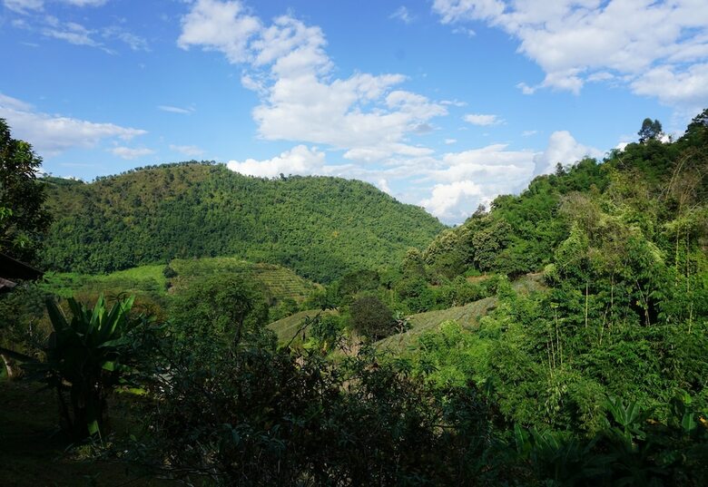 Hotel Maesalong Mountain Home