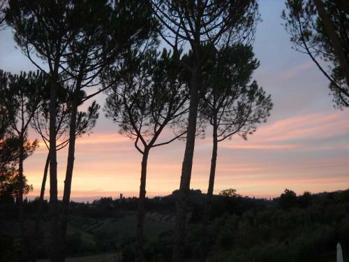Apartamento La Certaldina