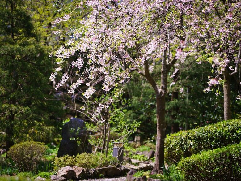 Hotel Oohashi Yakata-no-yu