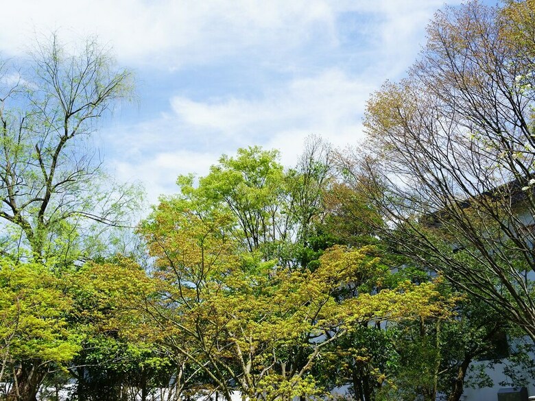 Hotel Oohashi Yakata-no-yu