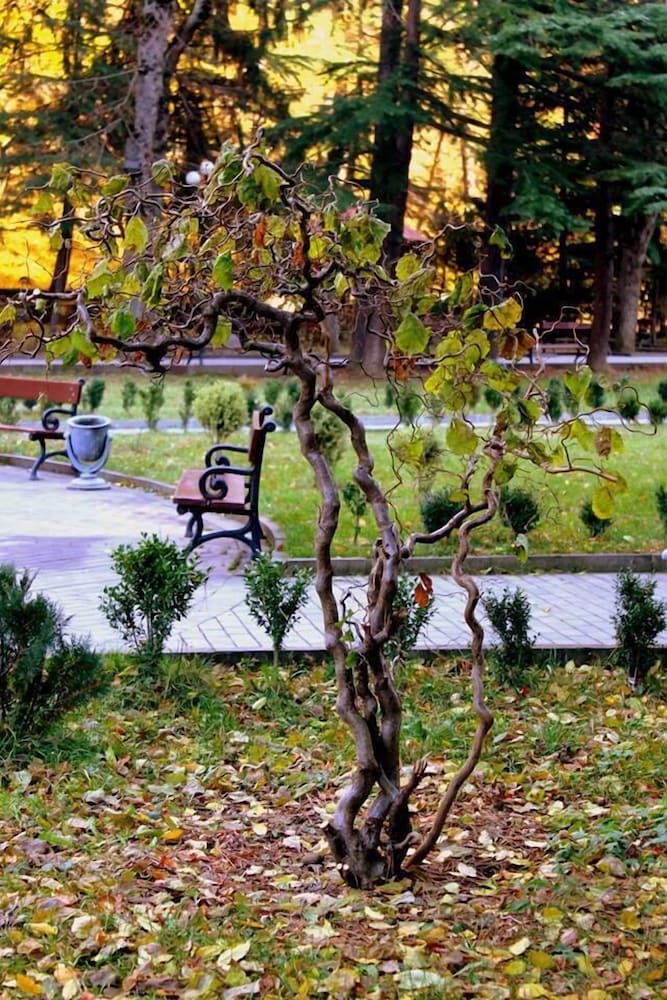 Hotel Borjomi Palace