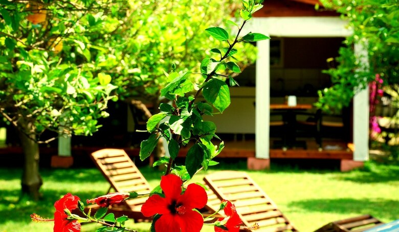 Bed & Breakfast Baraka House Cirali