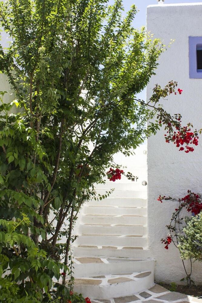 Hotel Naxos Holidays