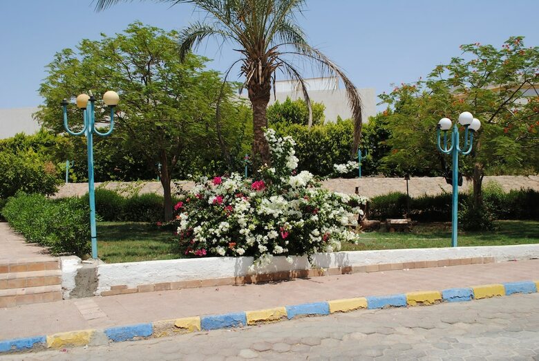 Hotel Sharm Cliff Resort