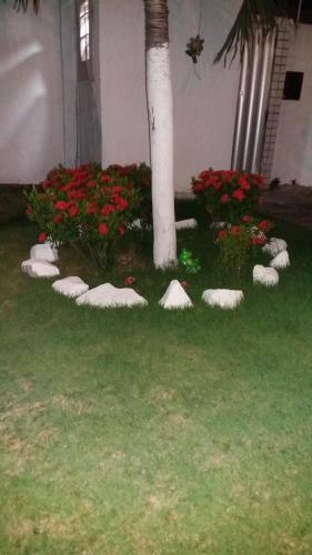 Apartamento Bonavides