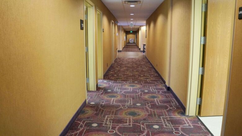 Hotel Hampton Inn & Suites Kingman, Az