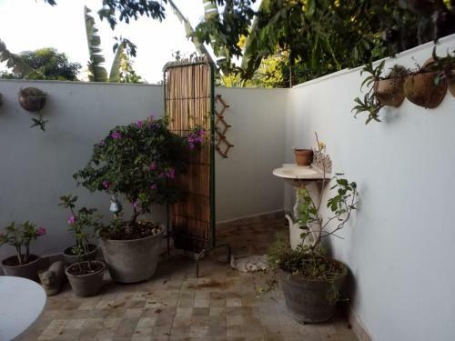 Eco Olinda B&B